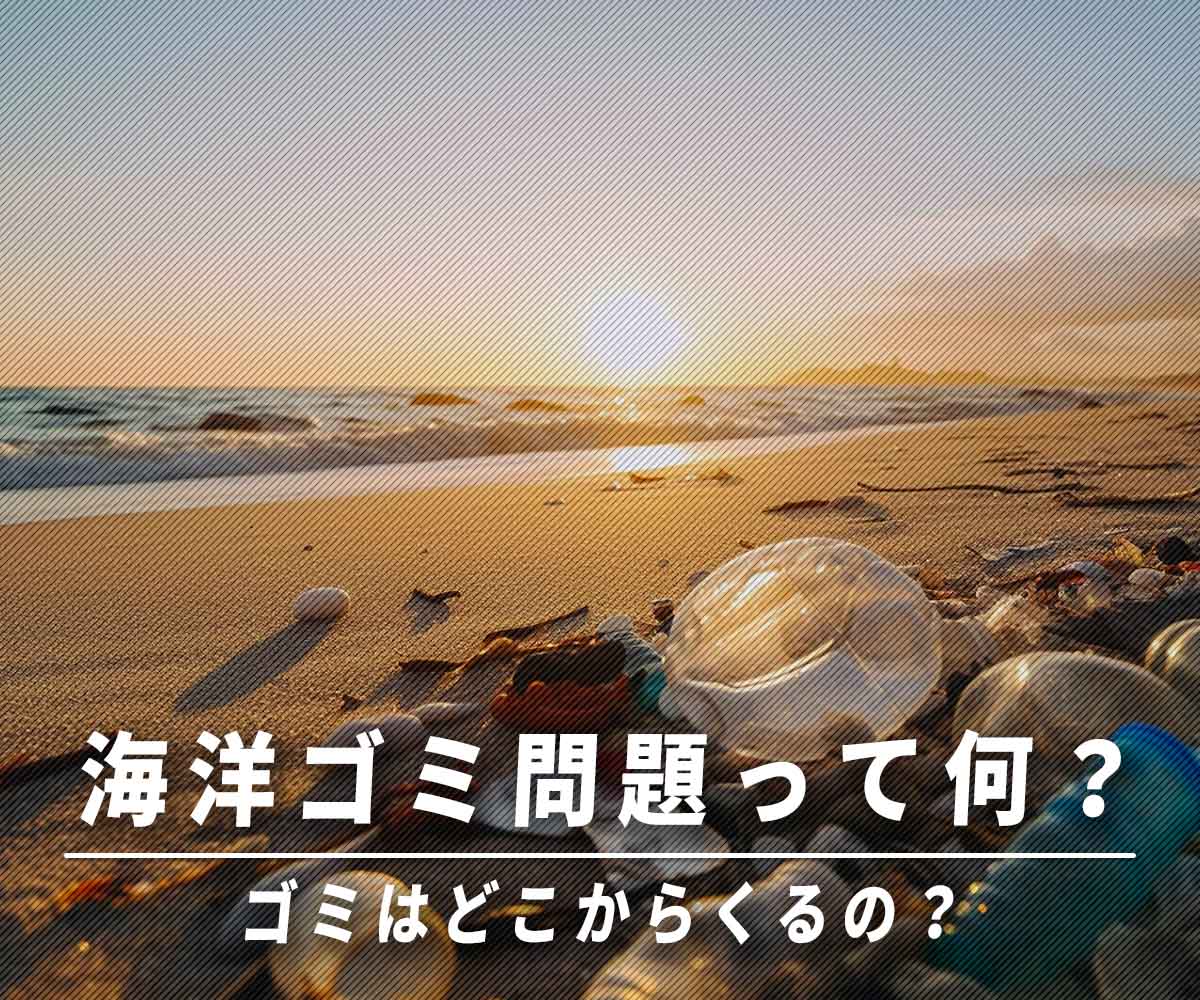 「海洋ゴミ問題って何？」画像